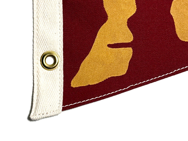 Arches National Park Pennant