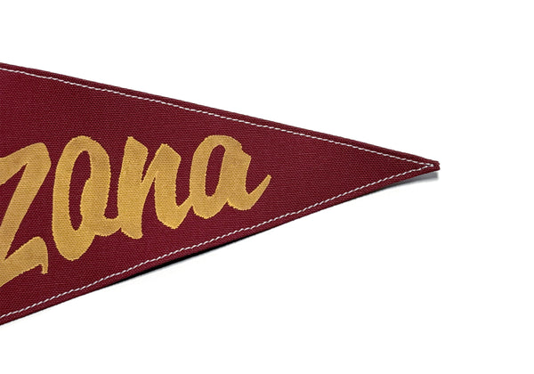 Arizona Vintage-Inspired Pennant