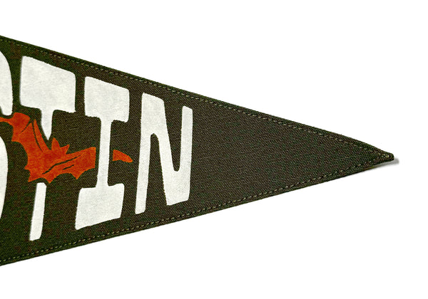 Austin Texas Bat Capital Pennant