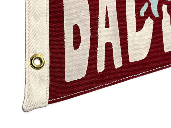 Badlands National Park Pennant