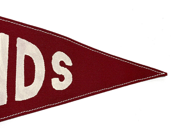 Badlands National Park Pennant