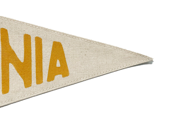California Bear Canvas Pennant