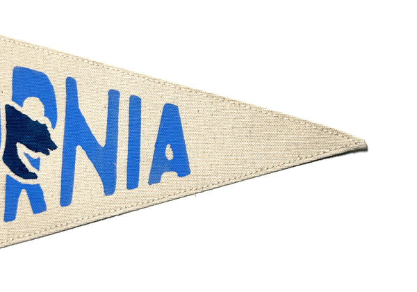 California Bear Canvas Pennant