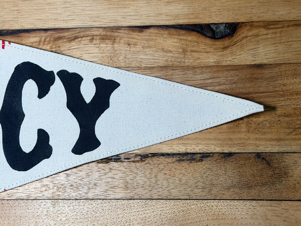 Cincy Baseball Vintage-Inspired Pennant