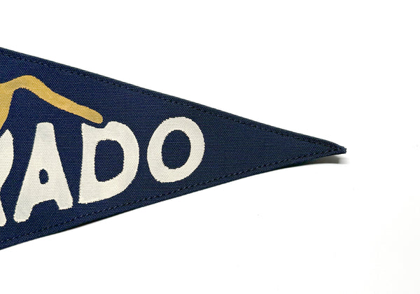 Colorado Mountain Vintage-Inspired Pennant