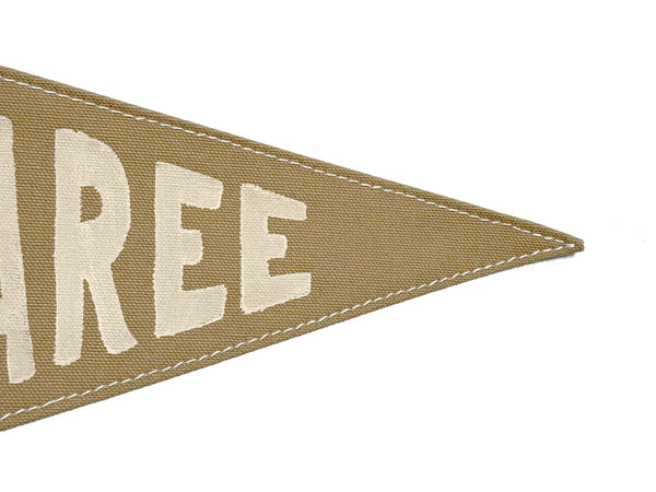 Congaree National Park Pennant