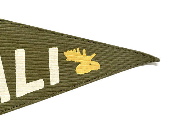 Denali National Park Pennant