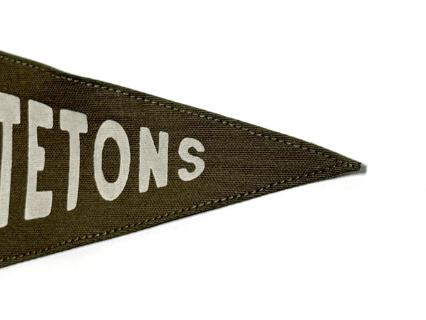 Grand Tetons National Park Pennant