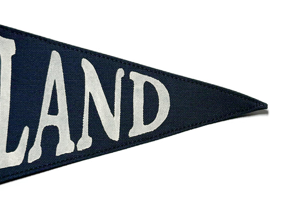 Iceland Vintage-Inspired Pennant
