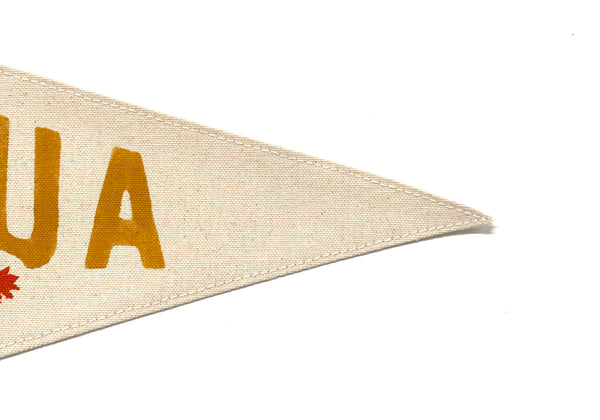 Joshua Tree National Park Pennant
