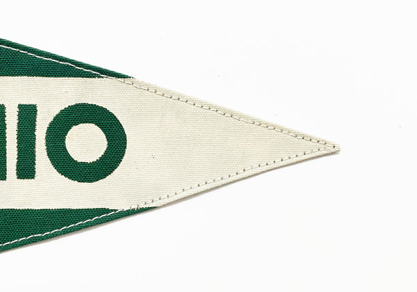 Ohio Green Mini Pennant