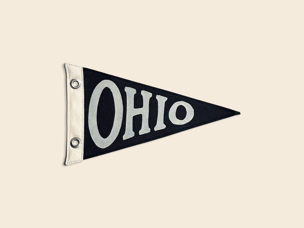 Ohio Vintage-Inspired Mini Pennant