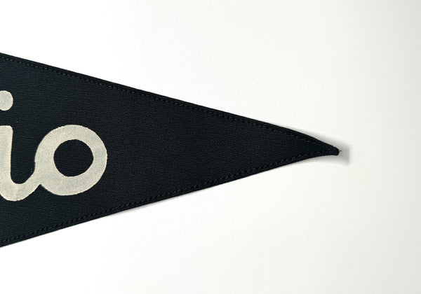 Ohio Script Vintage-Inspired Pennant