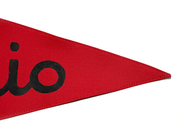 Ohio Script Vintage-Inspired Pennant
