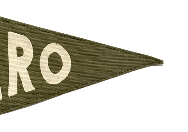 Saguaro National Park Pennant