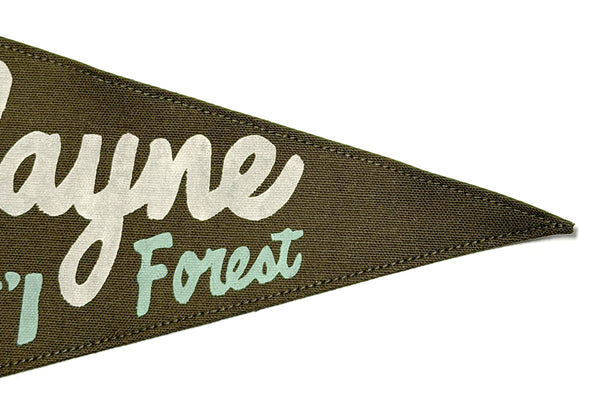 Wayne National Forest Vintage-Inspired Pennant