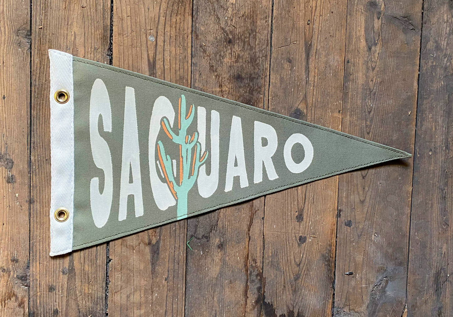 Saguaro National Park Pennant