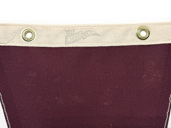 Arizona Vintage-Inspired Pennant
