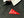 Cincy Felt Pennant Rugby Shirt
