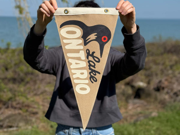 Lake Ontario Vintage-Inspired Pennant