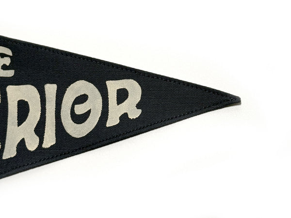 Lake Superior Vintage-Inspired Pennant