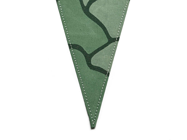 New River Gorge National Park Pennant
