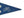 New York City (NYC) Bike Pennant