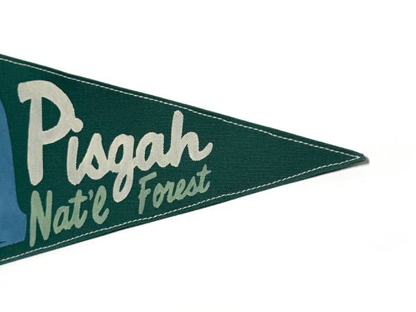 Pisgah National Forest Vintage-Inspired Pennant