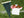 Retro Screamers Mexico '94 World Cup Pennant