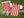 Retro Screamers USA '94 World Cup Stripes Pennant