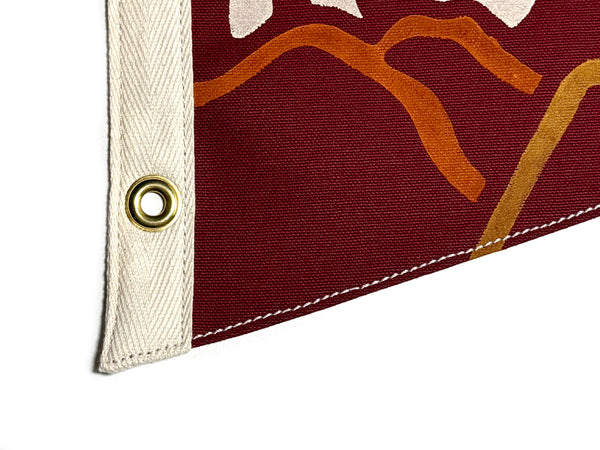 Rocky Mountain National Park Pennant