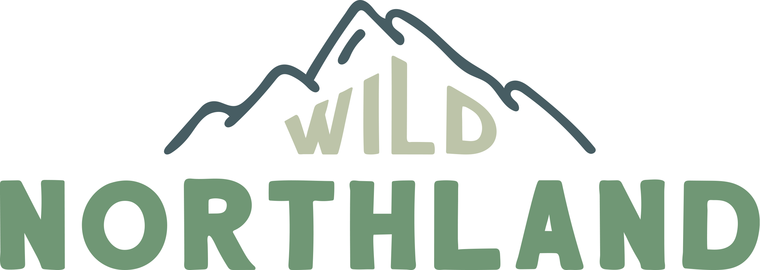 Pacific Northwest Pennant – Wild Northland
